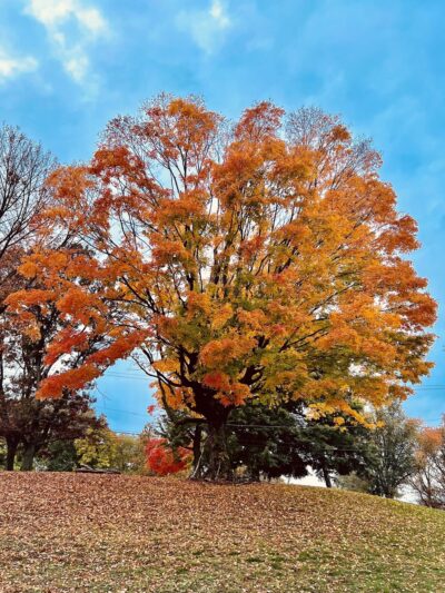 Lemon Hill Park - Philadelphia, PA
