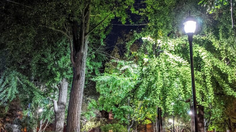 Palmer Park - Philadelphia, PA