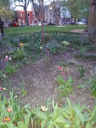 Palmer Park - Philadelphia, PA