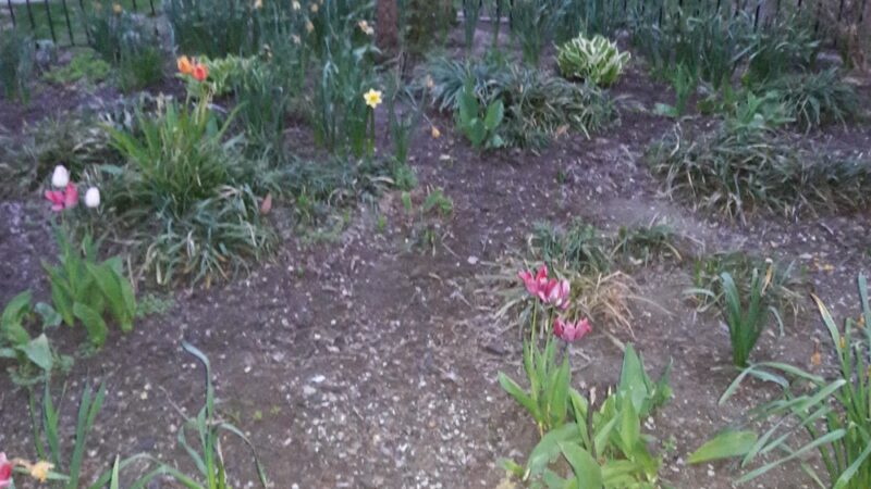 Palmer Park - Philadelphia, PA