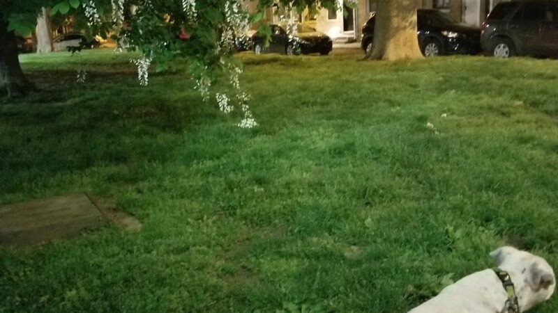 Palmer Park - Philadelphia, PA