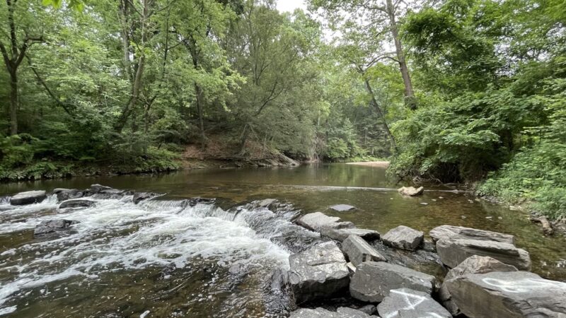 Pennypack Park - Philadelphia, PA