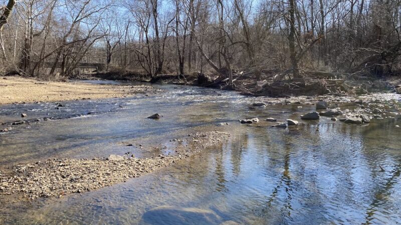Pennypack Park - Philadelphia, PA