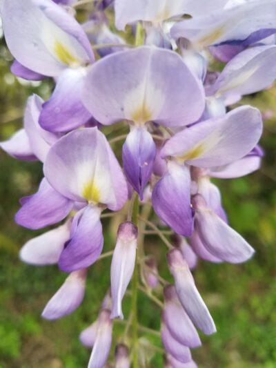 20th & Tioga Street Park - Philadelphia, PA