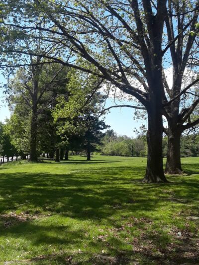 Awbury Park - Philadelphia, PA