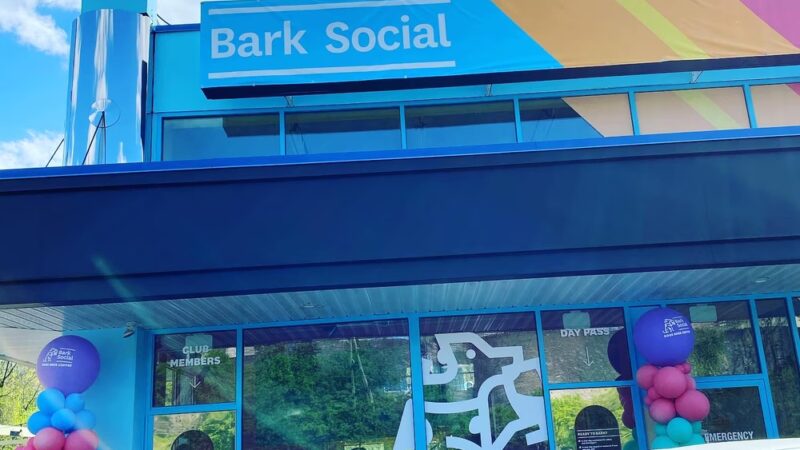 Bark Social - Philadelphia, PA