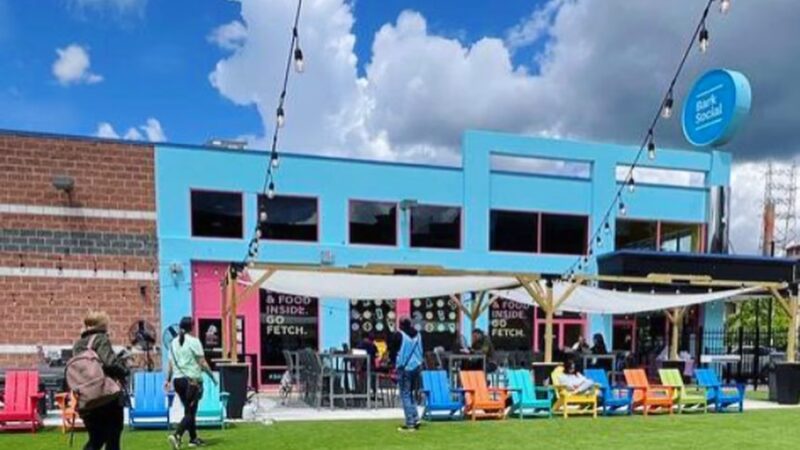 Bark Social - Philadelphia, PA