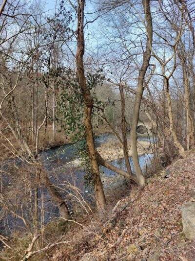 Bells Mill Road West Trailhead - Philadelphia, PA