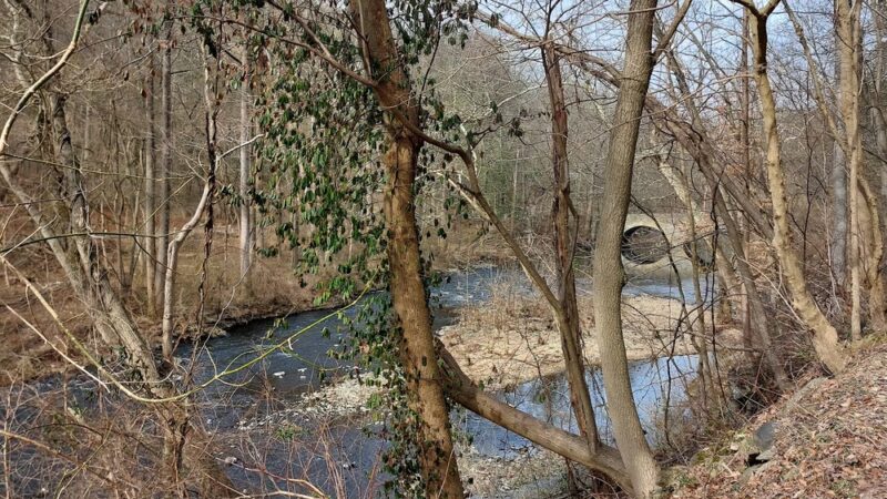 Bells Mill Road West Trailhead - Philadelphia, PA