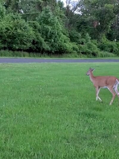 Benjamin Rush State Park - Philadelphia, PA