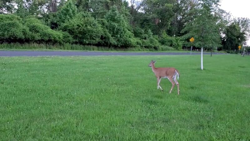 Benjamin Rush State Park - Philadelphia, PA