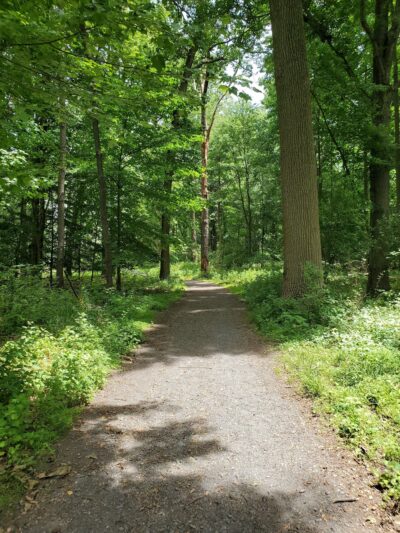 Benjamin Rush State Park - Philadelphia, PA