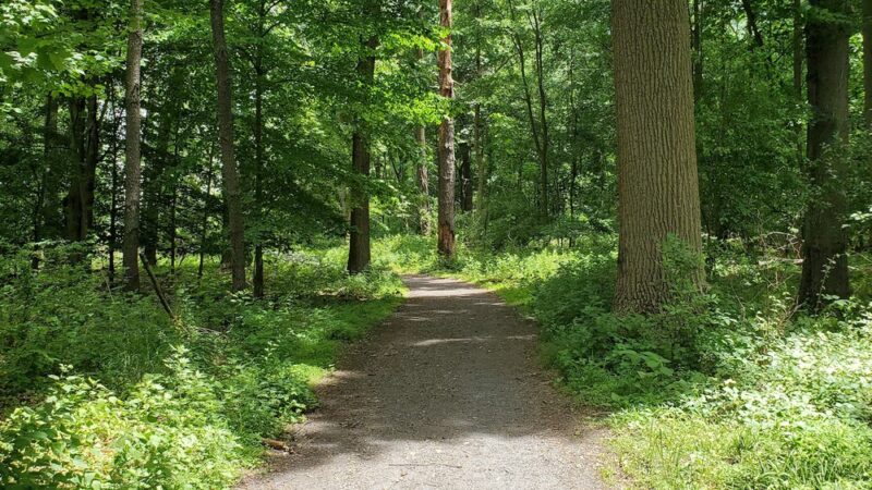 Benjamin Rush State Park - Philadelphia, PA