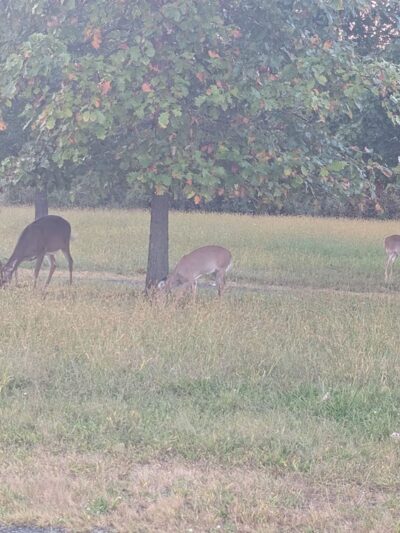 Benjamin Rush State Park - Philadelphia, PA