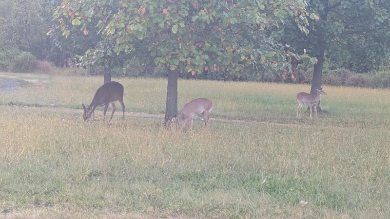 Benjamin Rush State Park - Philadelphia, PA