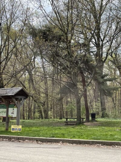 Blue Bell Field Parking Lot - Philadelphia, PA