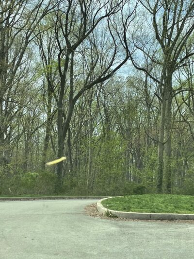 Blue Bell Field Parking Lot - Philadelphia, PA