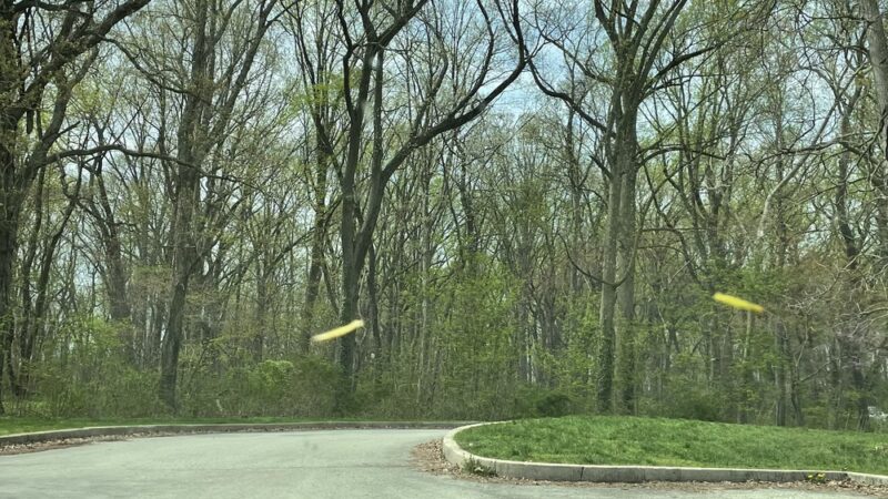 Blue Bell Field Parking Lot - Philadelphia, PA