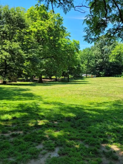 Blue Bell Park - Philadelphia, PA