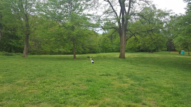 Blue Bell Park - Philadelphia, PA