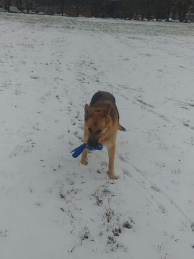 Bradford Park - Philadelphia, PA