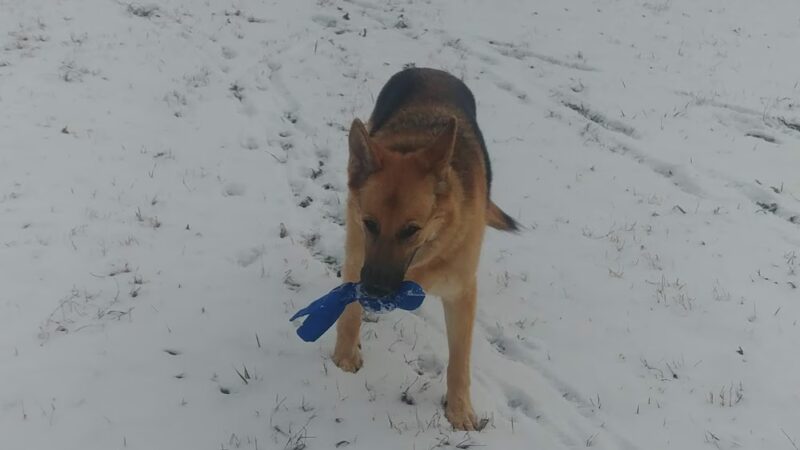 Bradford Park - Philadelphia, PA