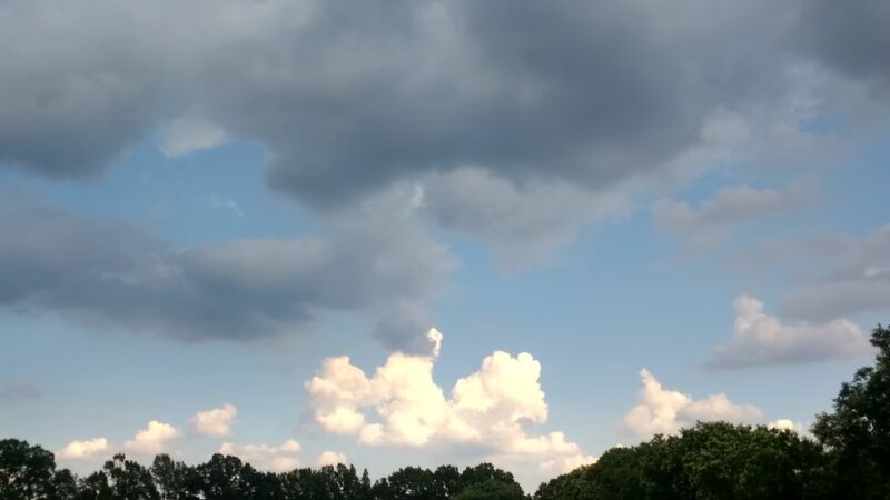 Bradford Park - Philadelphia, PA