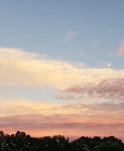 Bradford Park - Philadelphia, PA