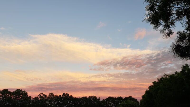 Bradford Park - Philadelphia, PA