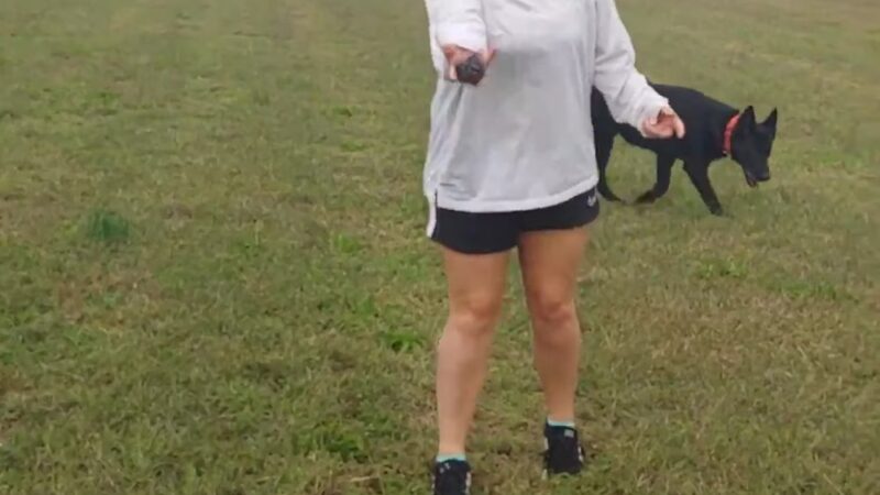 Bradford Park - Philadelphia, PA