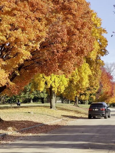 Burholme Park - Philadelphia, PA