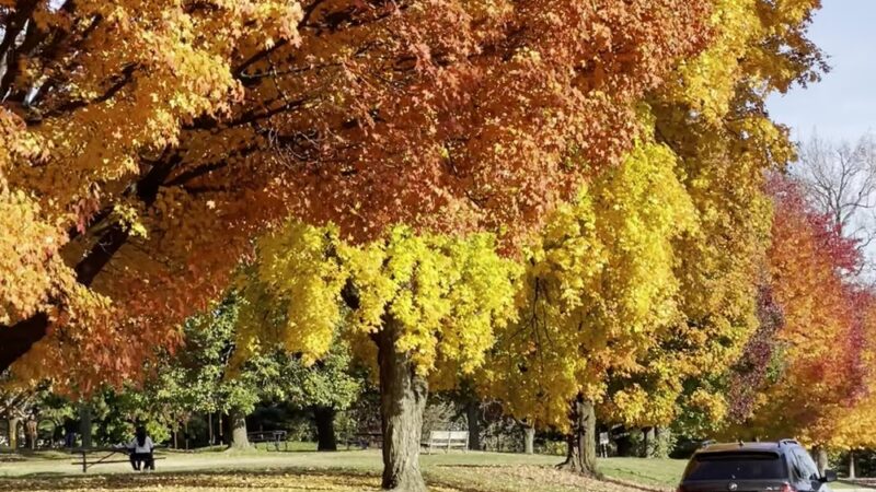 Burholme Park - Philadelphia, PA