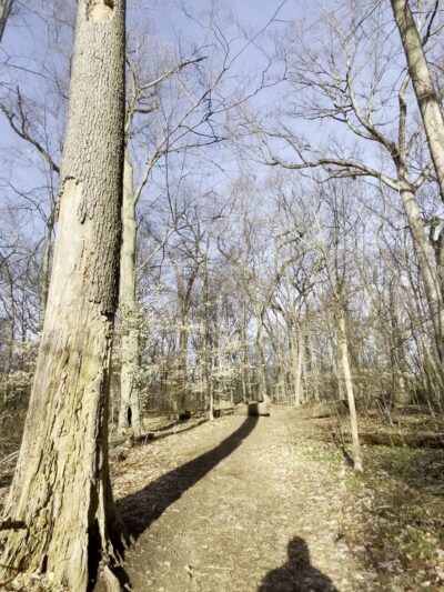Carpenter's Woods - Philadelphia, PA