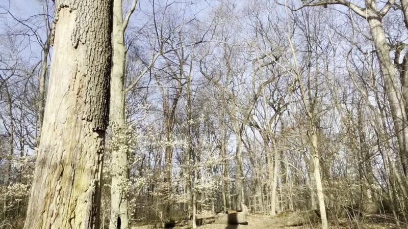 Carpenter's Woods - Philadelphia, PA