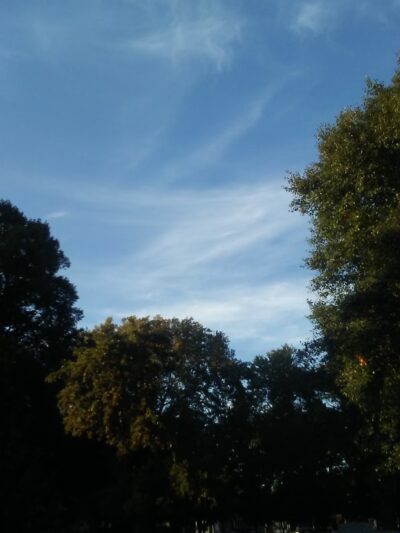 Carroll Park - Philadelphia, PA