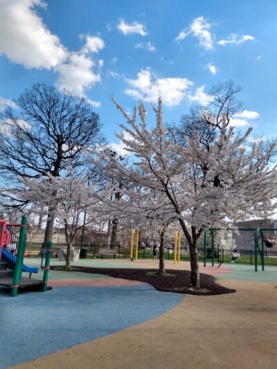 Charles A. Russo Playground - Philadelphia, PA