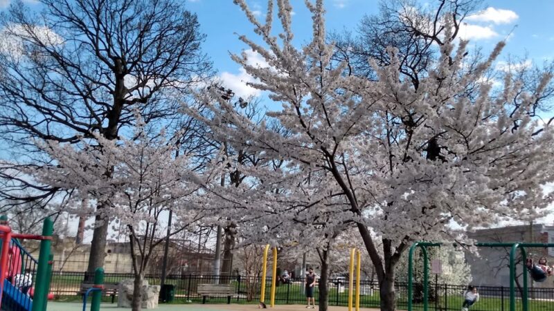 Charles A. Russo Playground - Philadelphia, PA