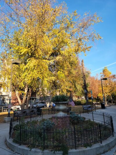 Cianfrani Park - Philadelphia, PA