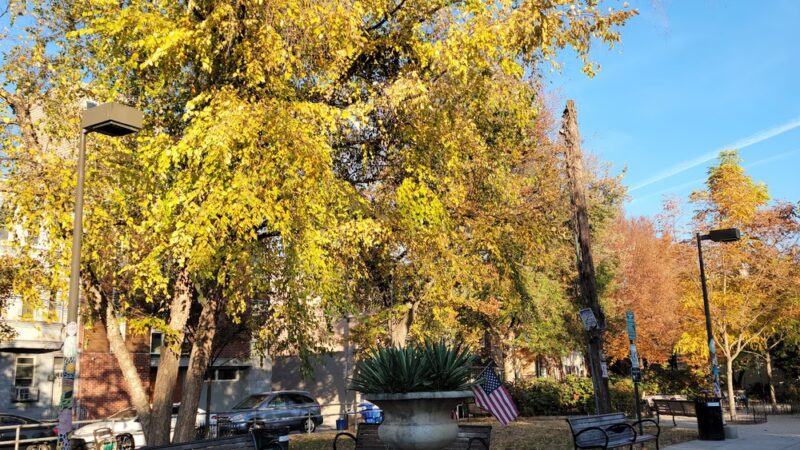 Cianfrani Park - Philadelphia, PA