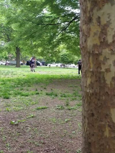 Clark Park - Philadelphia, PA