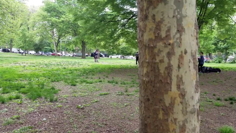 Clark Park - Philadelphia, PA