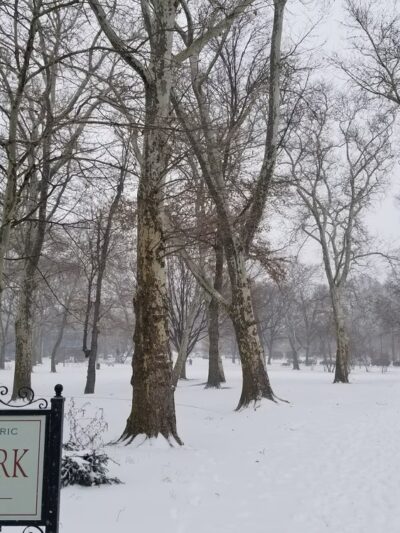Clark Park - Philadelphia, PA