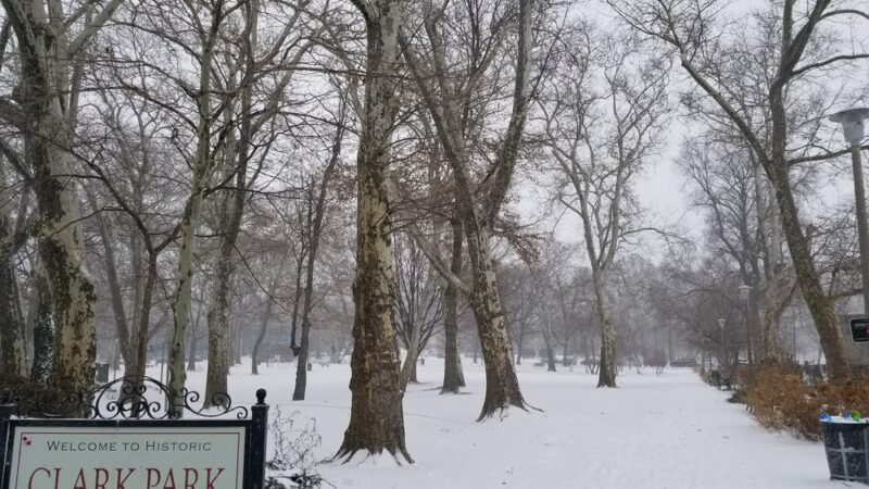 Clark Park - Philadelphia, PA