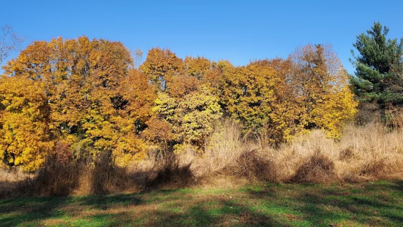 Clifford Park - Philadelphia, PA