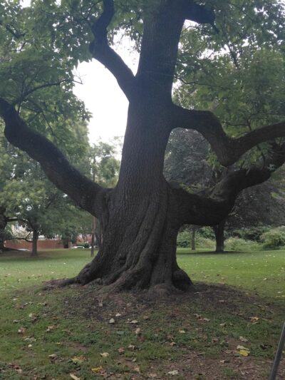 Cloverly Park - Philadelphia, PA