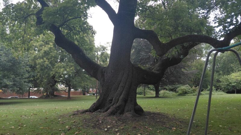 Cloverly Park - Philadelphia, PA