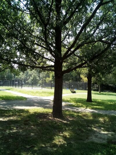Cobbs Creek Park - Philadelphia, PA