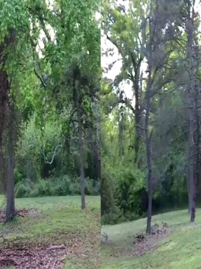 Cobbs Creek Park - Philadelphia, PA