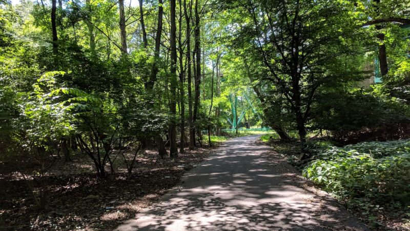 Cobbs Creek Park - Philadelphia, PA