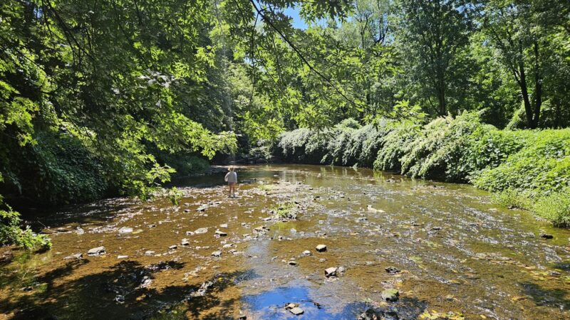 Cobbs Creek Park - Philadelphia, PA
